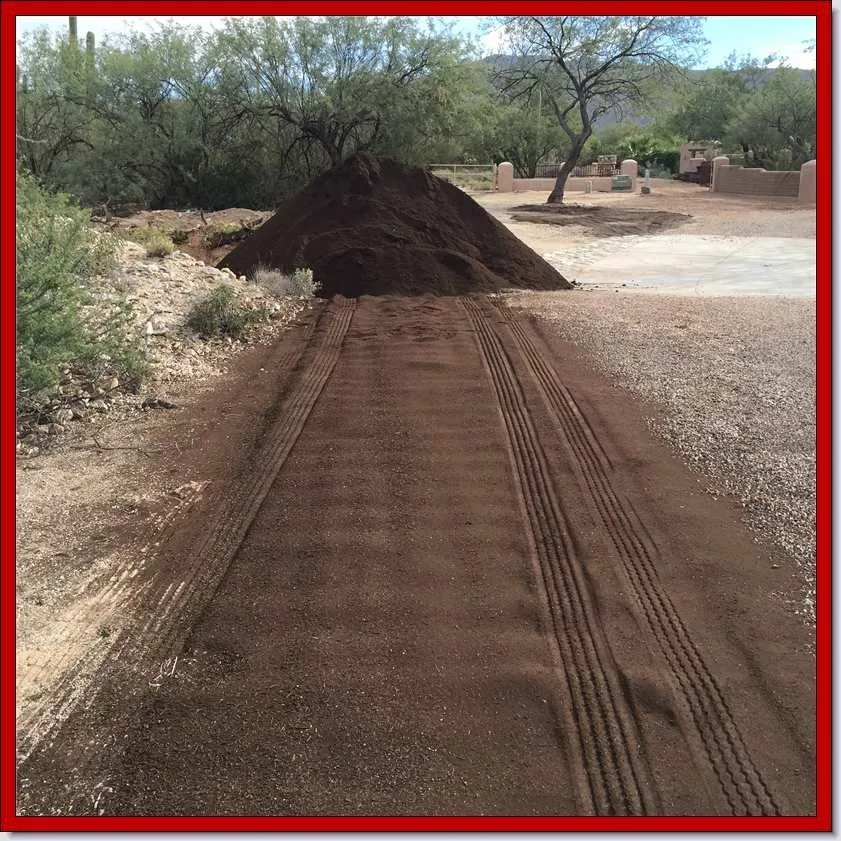 Custom lawn care service experts serving Tucson, AZ - Tank's Green Stuff