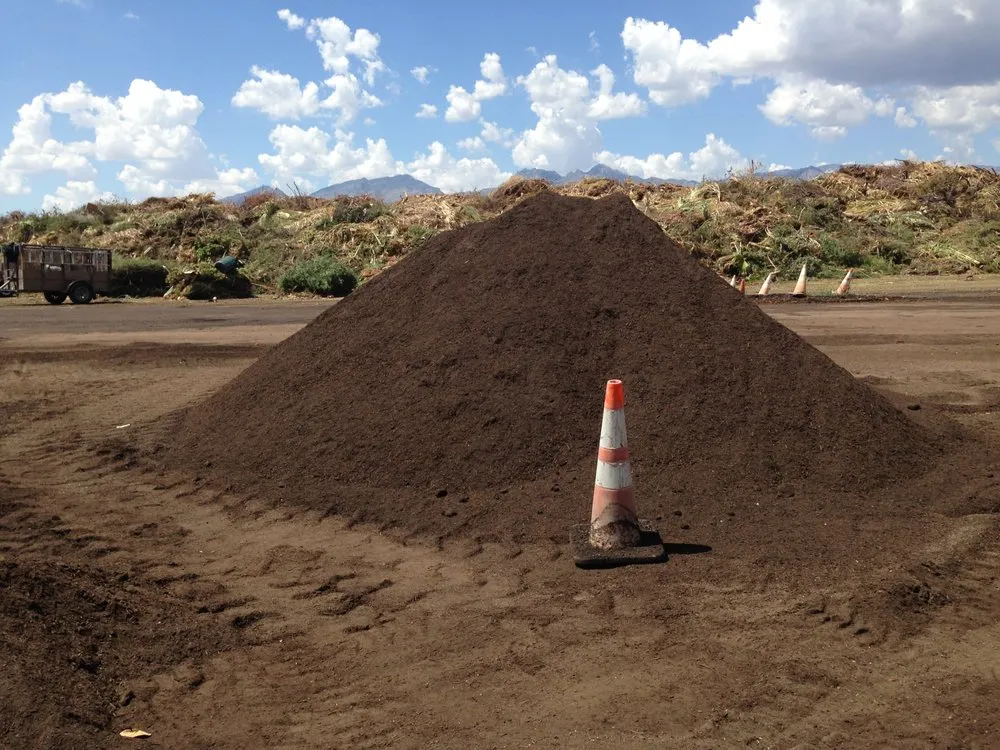 Expert landscape design in Tucson, AZ by Tank's Green Stuff