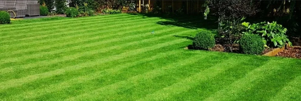 Custom residential landscaping with custom design across Kings Mountain, NC - Tanks Landscaping