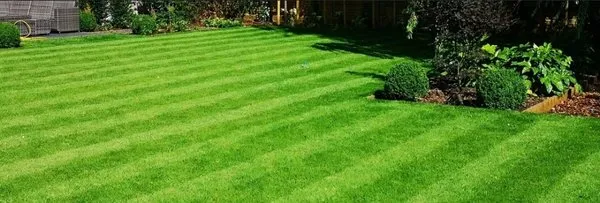 Tanks Landscaping Logo