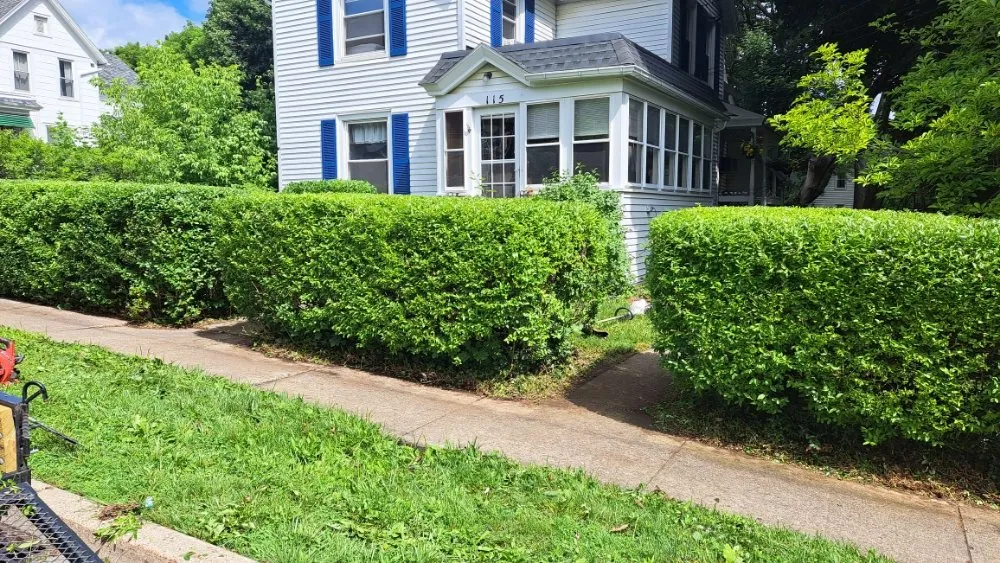 Reliable residential landscaping for year-round maintenance across Lyons, NY - Tanks Lawn Care & Landscaping