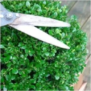 Custom landscape installation near you in Atglen, PA by Tanks Lawn Care