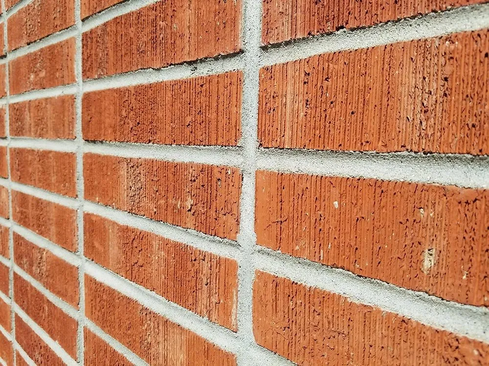 Reliable yard cleanup service in Chagrin Falls, OH - Tanner’s Construction Services