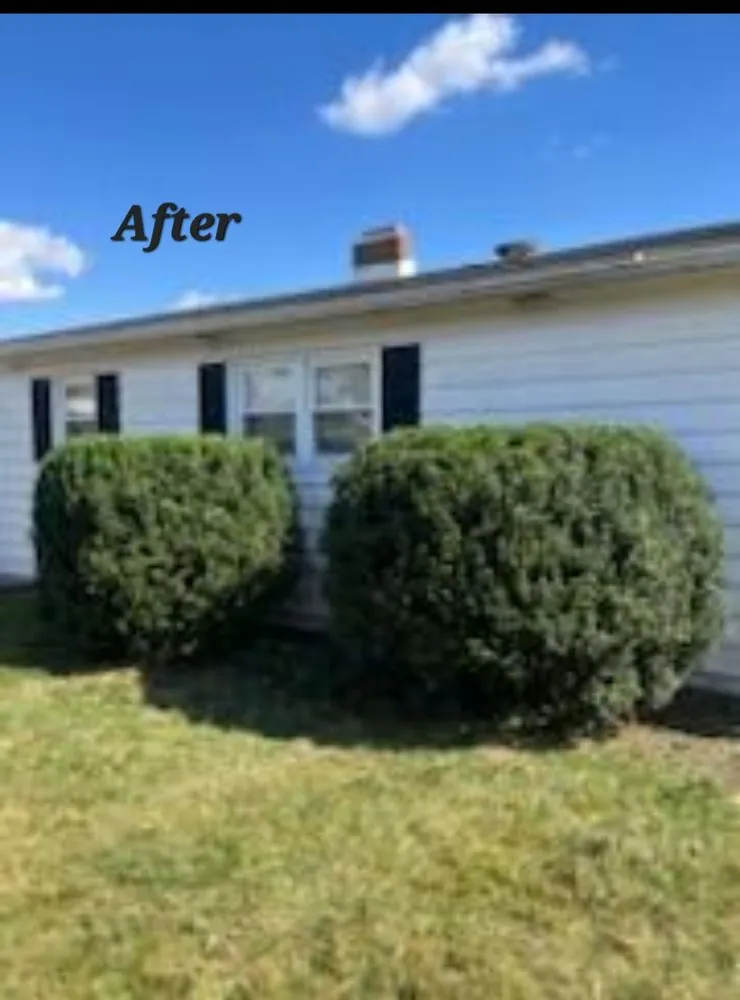 Professional landscaping services in Jacobus, PA by Tanner's Landscaping