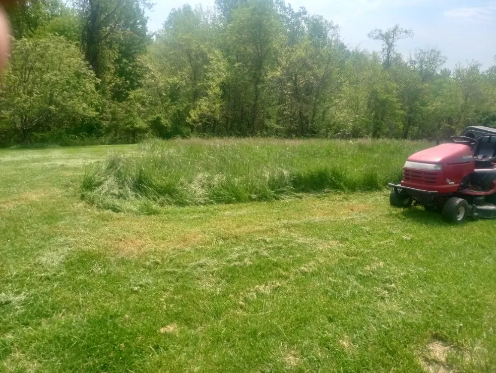 Expert yard maintenance experts serving Ashland, KY - Tanners Lawn Care