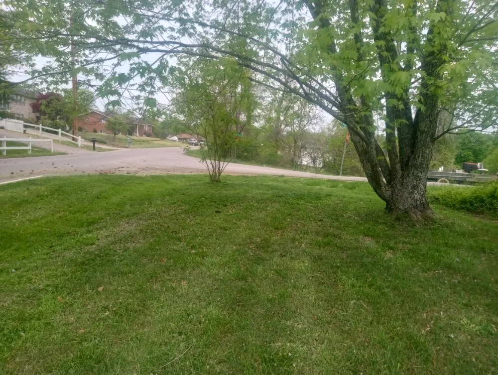 Top-rated yard cleanup service in Ashland, KY - Tanners Lawn Care