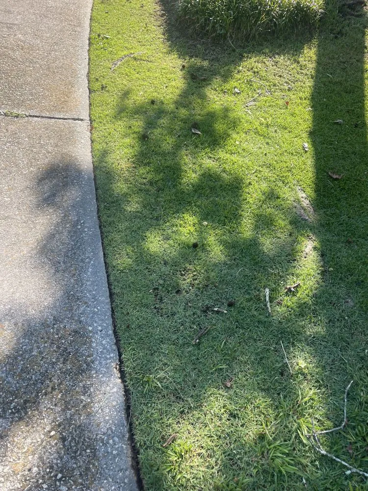 Trusted residential landscaping in Augusta, GA by Tanner’s Lawn Care