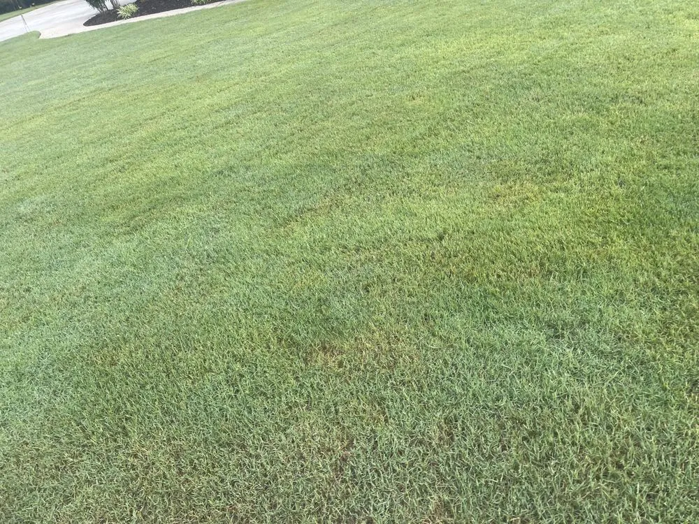 Local landscape installation for homes in Augusta, GA by Tanner’s Lawn Care