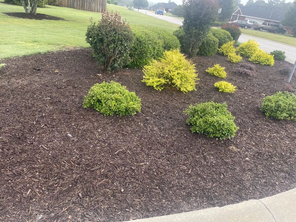Professional yard cleanup service experts serving Augusta, GA - Tanner’s Lawn Care