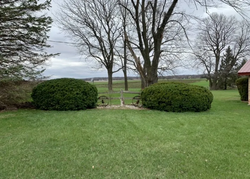 Trusted lawn mowing service for outdoor upgrades across Janesville, WI - Tanners Lawn Revival