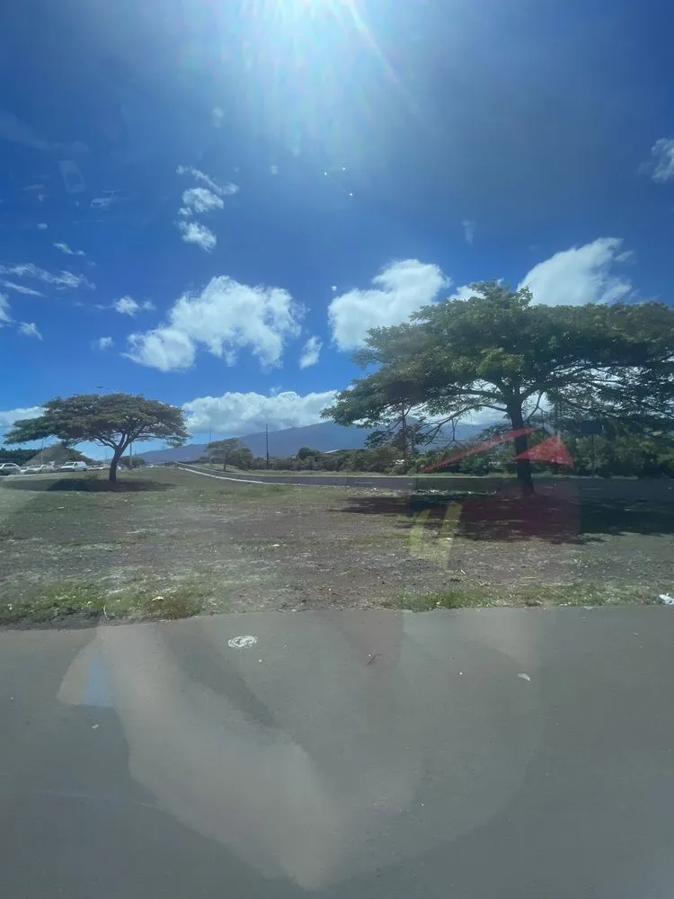 Reliable lawn mowing service experts serving Kihei, HI - Tanner’s Local Landscaping