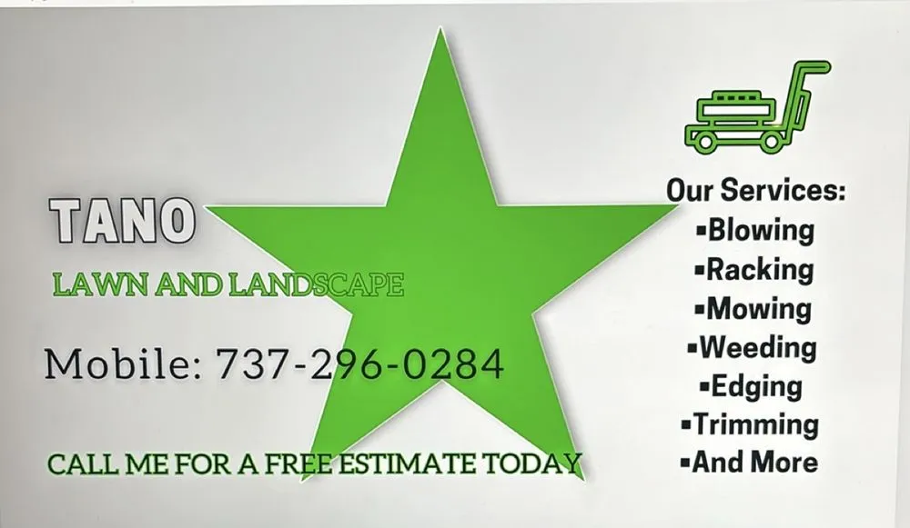 Local yard cleanup service for outdoor upgrades across San Marcos, TX - Tano’s Landscaping