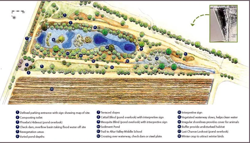 Expert yard cleanup service in Tucson, AZ - Tanque Verde Construction