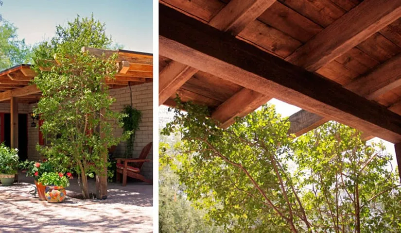 Affordable landscape installation experts serving Tucson, AZ - Tanque Verde Construction