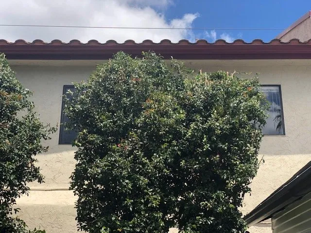 Local yard maintenance for outdoor upgrades in San Diego, CA by Tan's Gardening Service