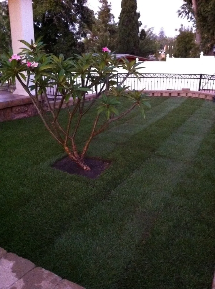 Professional residential landscaping for year-round maintenance in San Diego, CA by Tan's Gardening Service