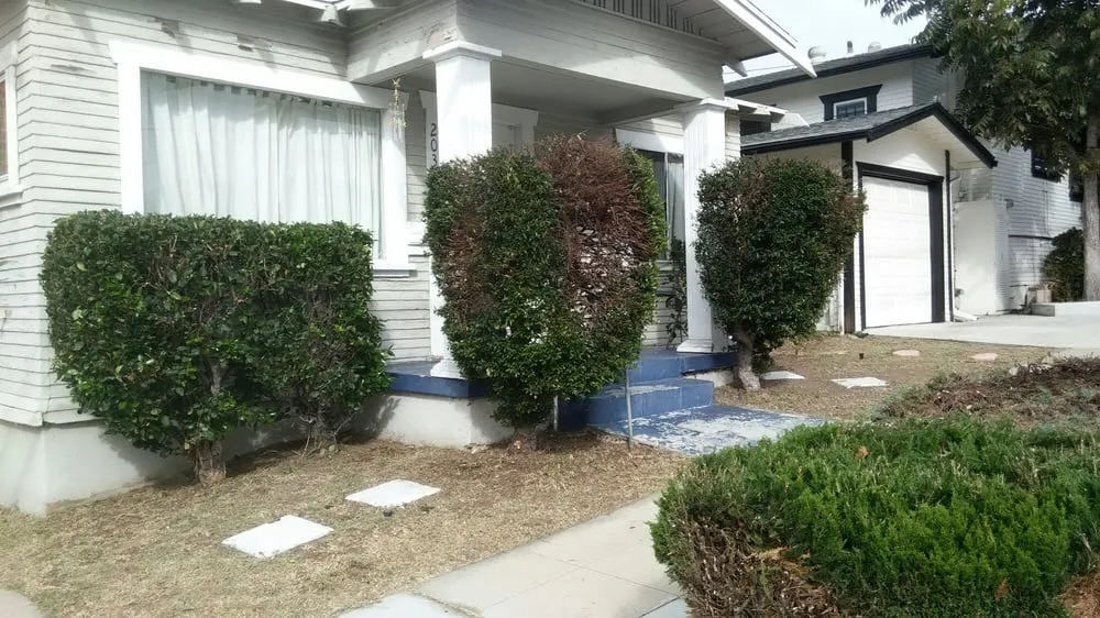 Trusted lawn care service for year-round maintenance across San Diego, CA - Tan's Gardening Service