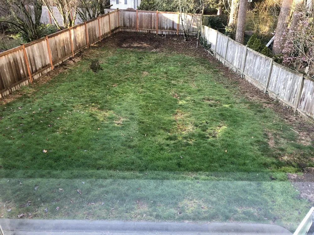 Trusted yard cleanup service in Renton, WA - Tan's Landscape