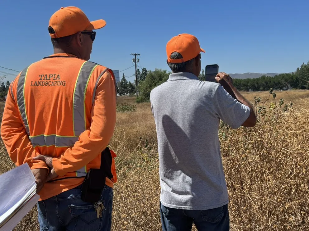 Expert lawn care service for year-round maintenance in Santa Ana, CA by Tapia Landscaping