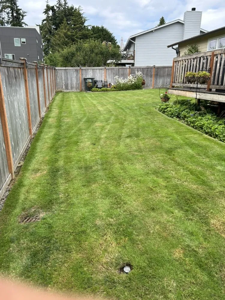 Affordable outdoor landscaping for residential properties in Seattle, WA by Tapia’s Landscaping