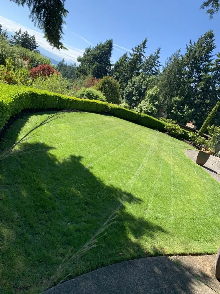 Custom garden landscaping in Seattle, WA by Tapia’s Landscaping