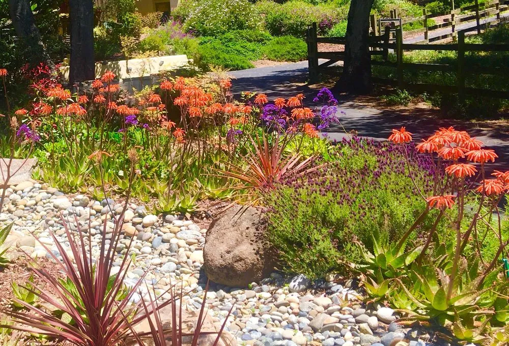 Affordable yard maintenance near you in Watsonville, CA by Tapia's Landscaping