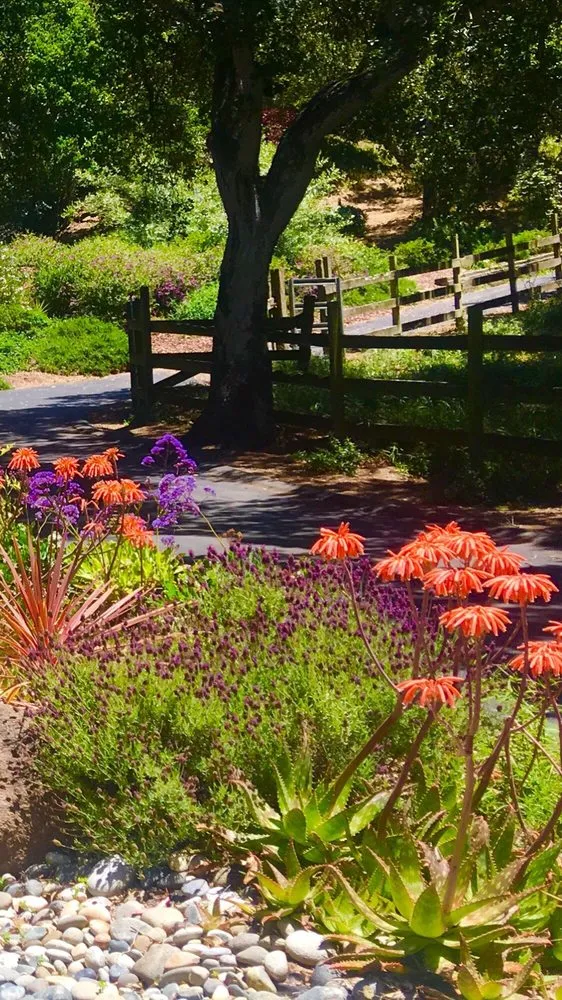 Affordable landscape installation experts serving Watsonville, CA - Tapia's Landscaping