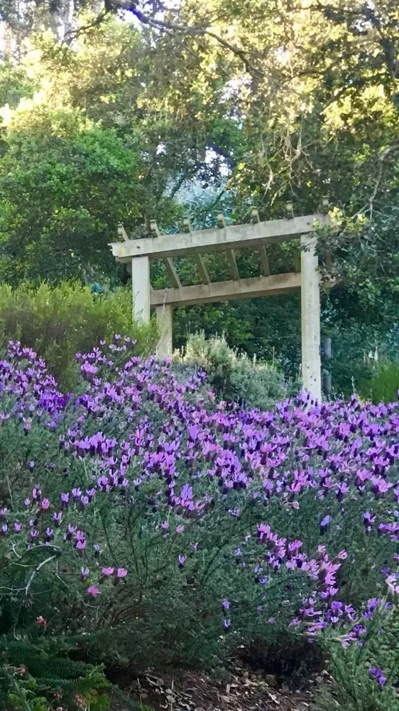 Affordable landscape design in Watsonville, CA - Tapia's Landscaping