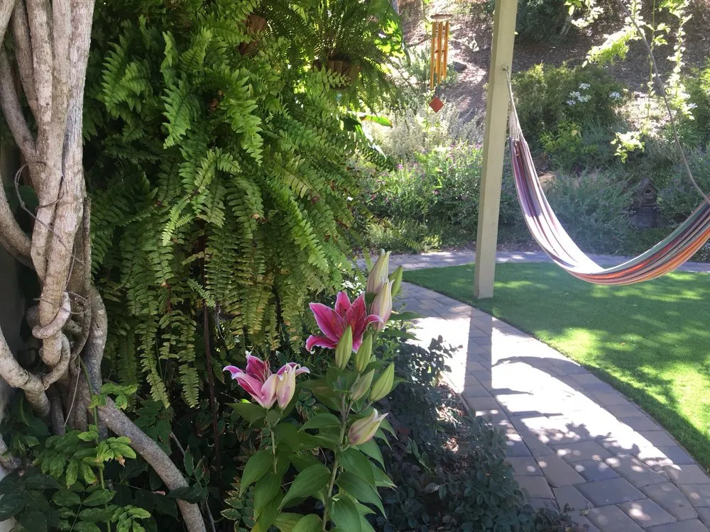 Local yard maintenance experts serving Watsonville, CA - Tapia's Landscaping