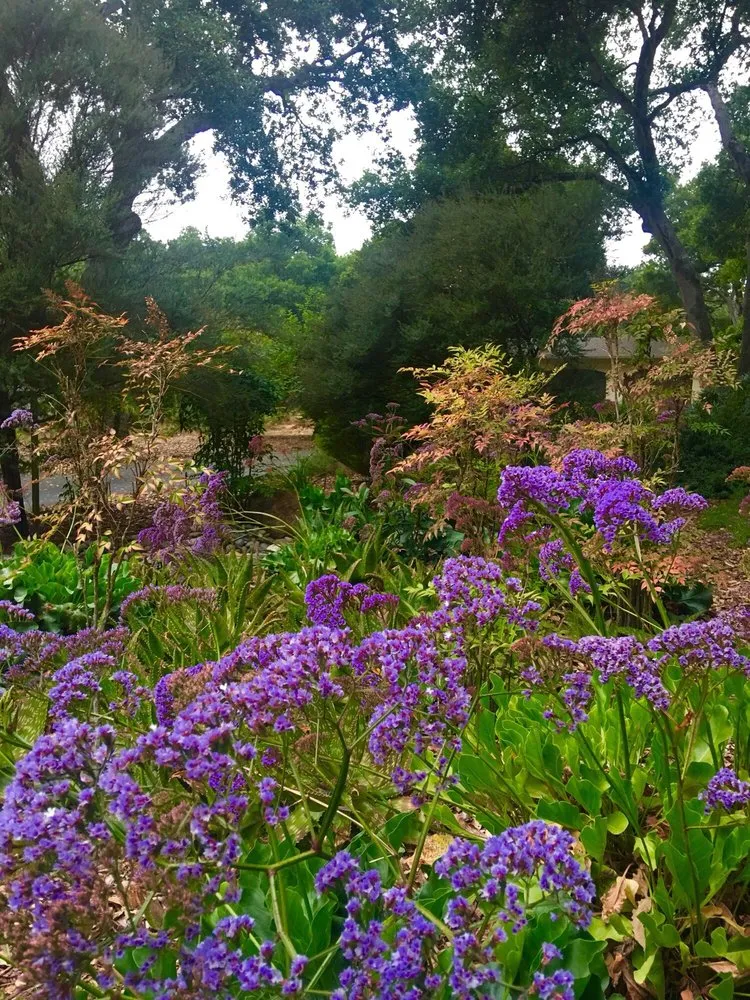 Professional outdoor landscaping in Watsonville, CA by Tapia's Landscaping