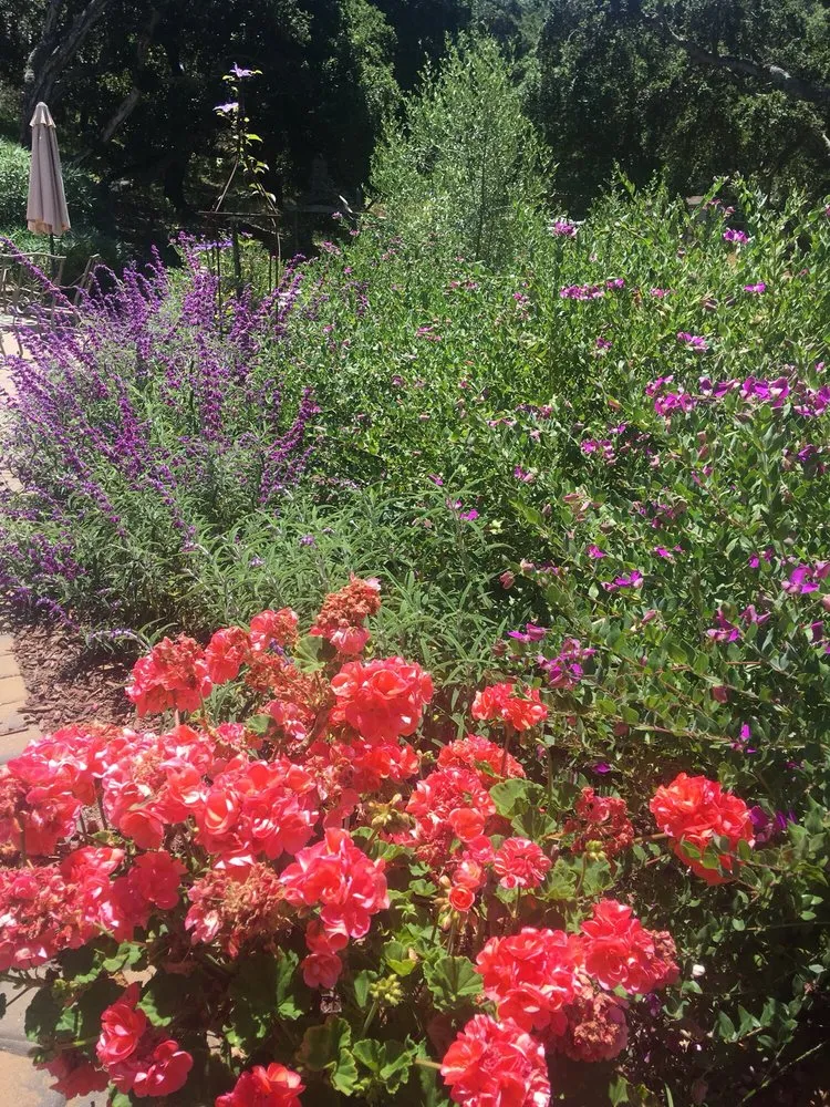 Custom yard cleanup service experts serving Watsonville, CA - Tapia's Landscaping