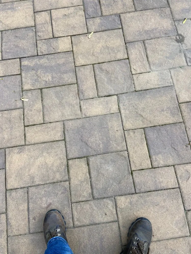 Trusted yard maintenance experts serving Yorktown Heights, NY - Tapia's Landscaping