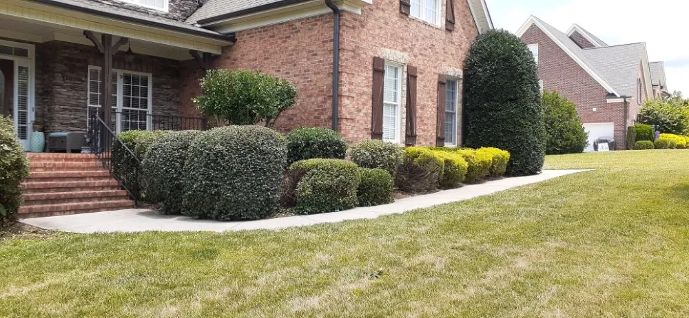 Custom garden landscaping for year-round maintenance across Kernersville, NC - Tapia's Lawn Care