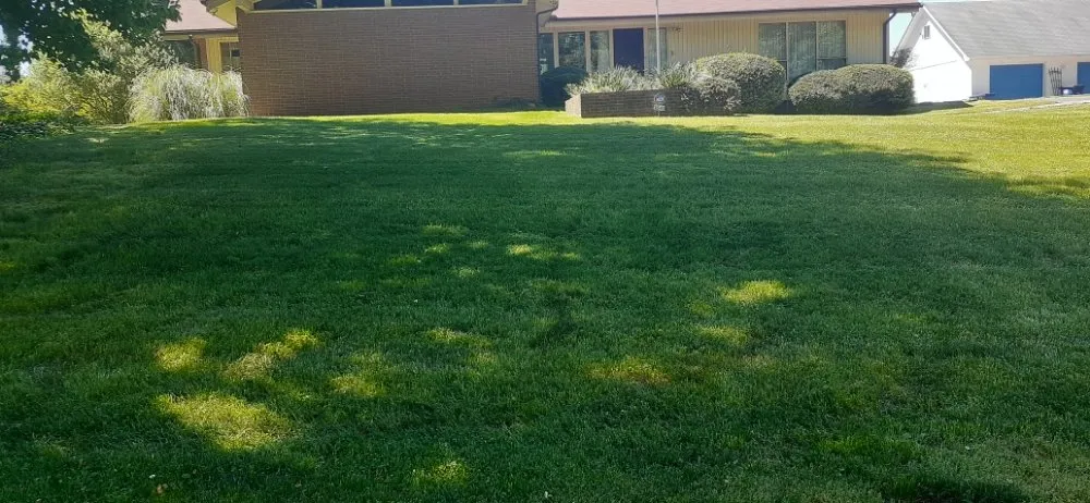 Custom yard maintenance in Kernersville, NC by Tapia's Lawn Care