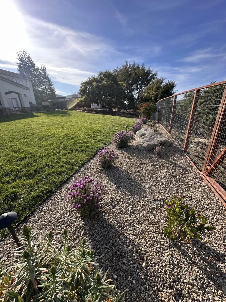 Top-rated yard maintenance for residential properties in Royal Oaks, CA by Tapias New Generation