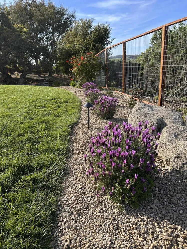 Professional landscape installation for outdoor upgrades across Royal Oaks, CA - Tapias New Generation