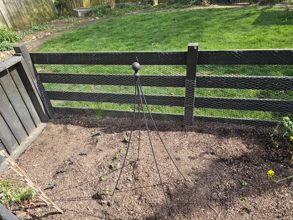 Local garden landscaping experts serving Berwyn Heights, MD - Tapis Rouge