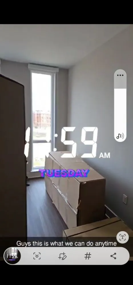 Custom yard cleanup service experts serving Berwyn Heights, MD - Tapis Rouge