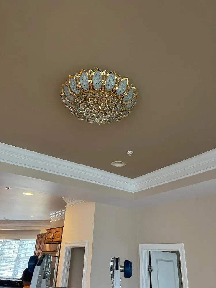 Reliable landscape design for year-round maintenance in Berwyn Heights, MD by Tapis Rouge