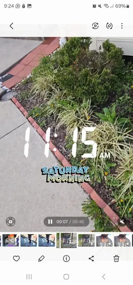 Local lawn mowing service experts serving Berwyn Heights, MD - Tapis Rouge