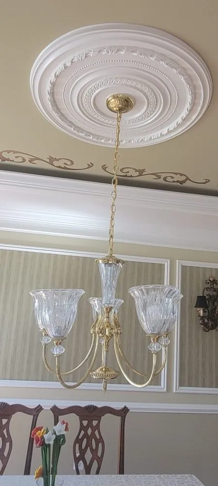 Professional yard maintenance experts serving Berwyn Heights, MD - Tapis Rouge