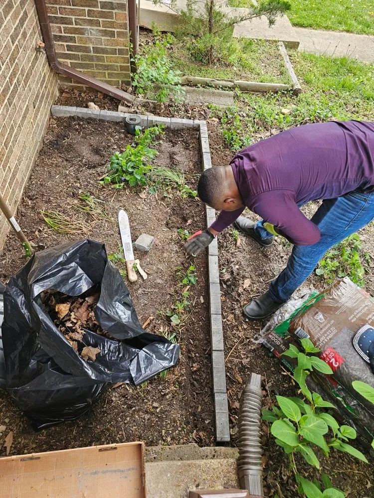 Reliable yard cleanup service for residential properties across Berwyn Heights, MD - Tapis Rouge