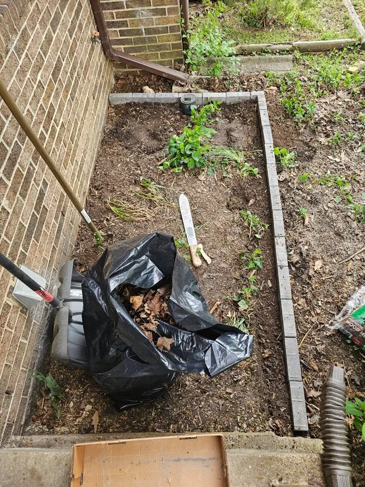 Expert landscape design in Berwyn Heights, MD by Tapis Rouge