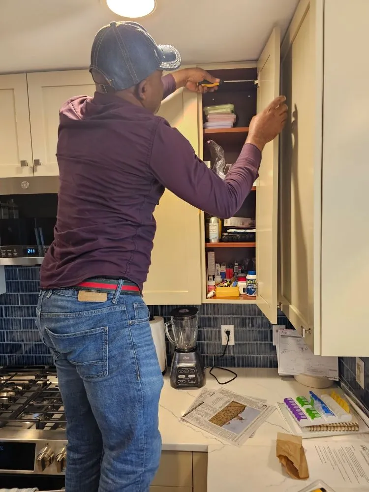 Custom landscape installation for outdoor upgrades across Berwyn Heights, MD - Tapis Rouge