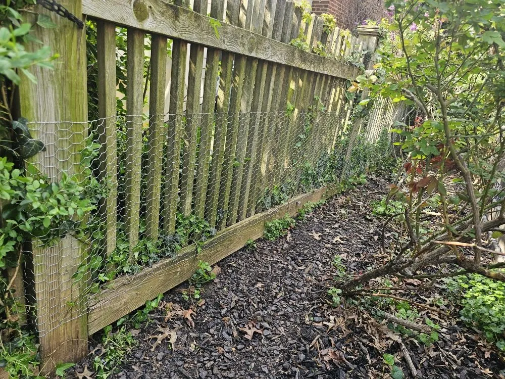 Affordable lawn mowing service with custom design across Berwyn Heights, MD - Tapis Rouge