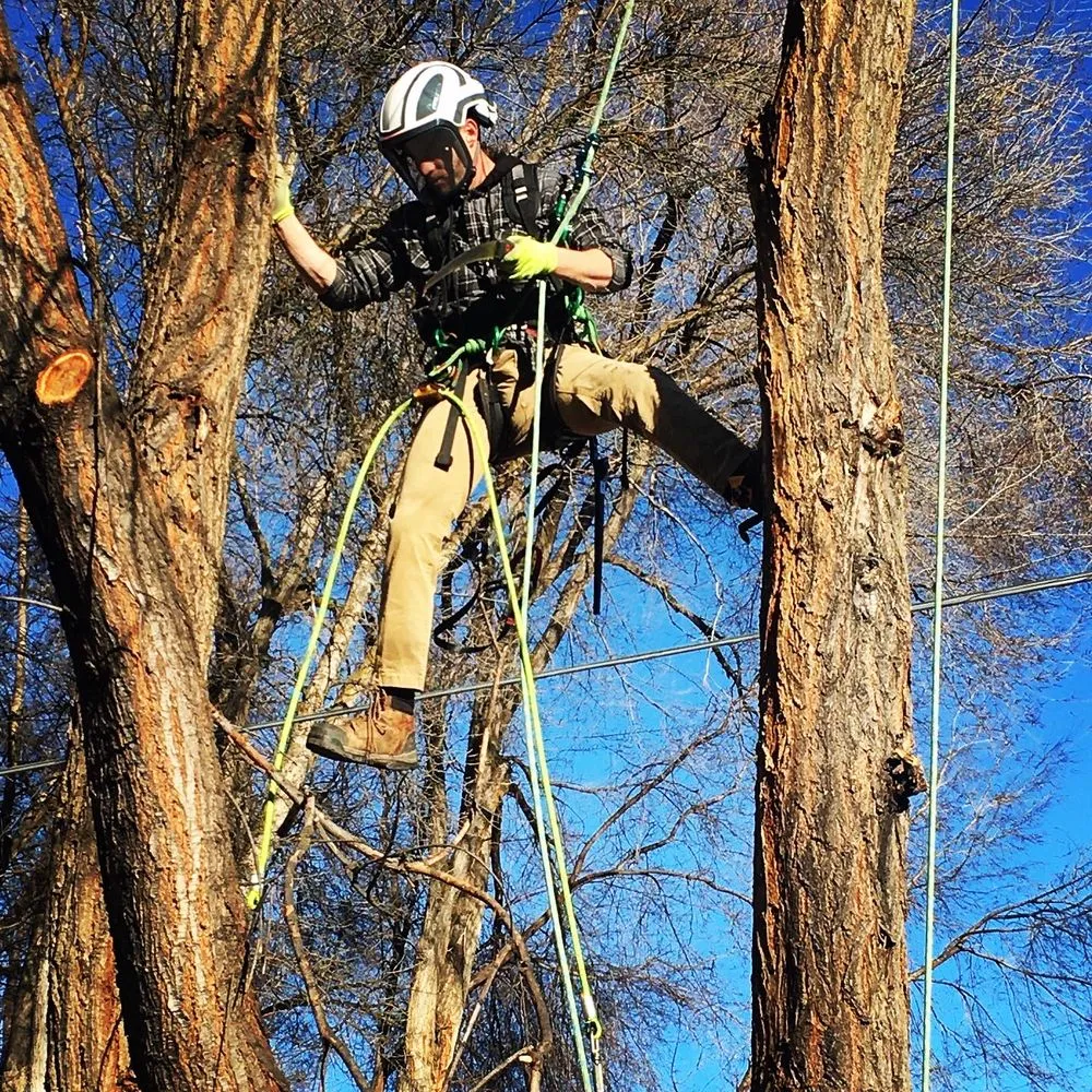 Local yard maintenance for year-round maintenance in Boise, ID by Tapsons Tree Service