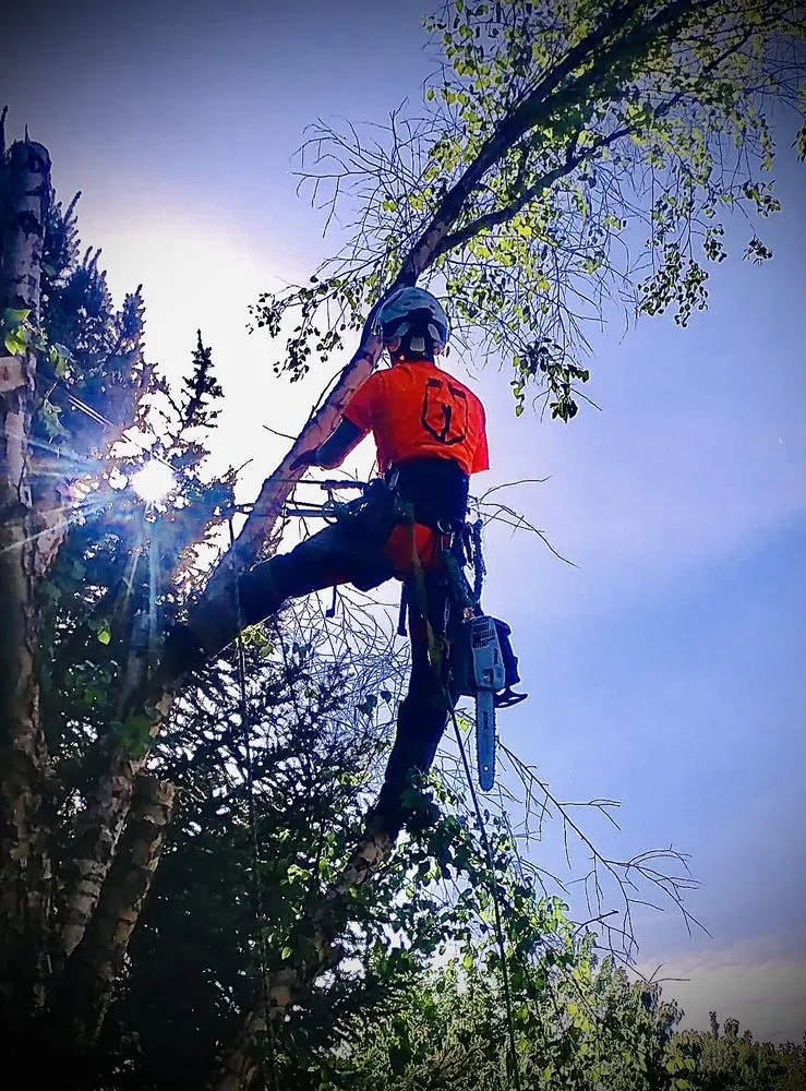 Top-rated residential landscaping in Boise, ID by Tapsons Tree Service