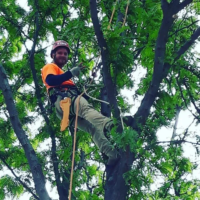 Local yard maintenance with custom design across Boise, ID - Tapsons Tree Service