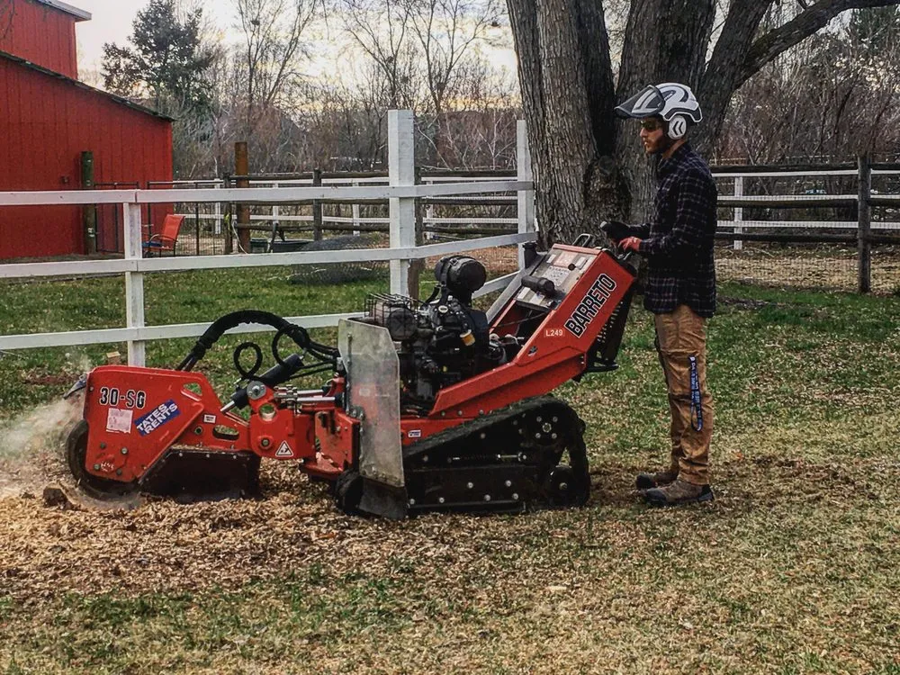 Reliable landscape design in Boise, ID by Tapsons Tree Service