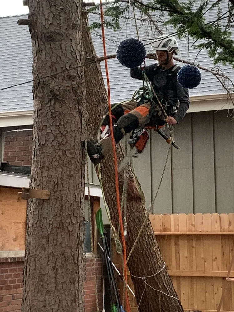 Professional lawn mowing service for outdoor upgrades across Boise, ID - Tapsons Tree Service